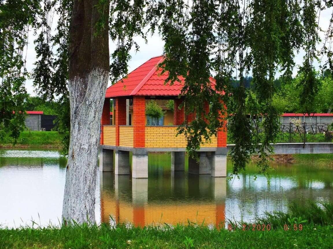 Illara Spa Hotel Irshava Buitenkant foto