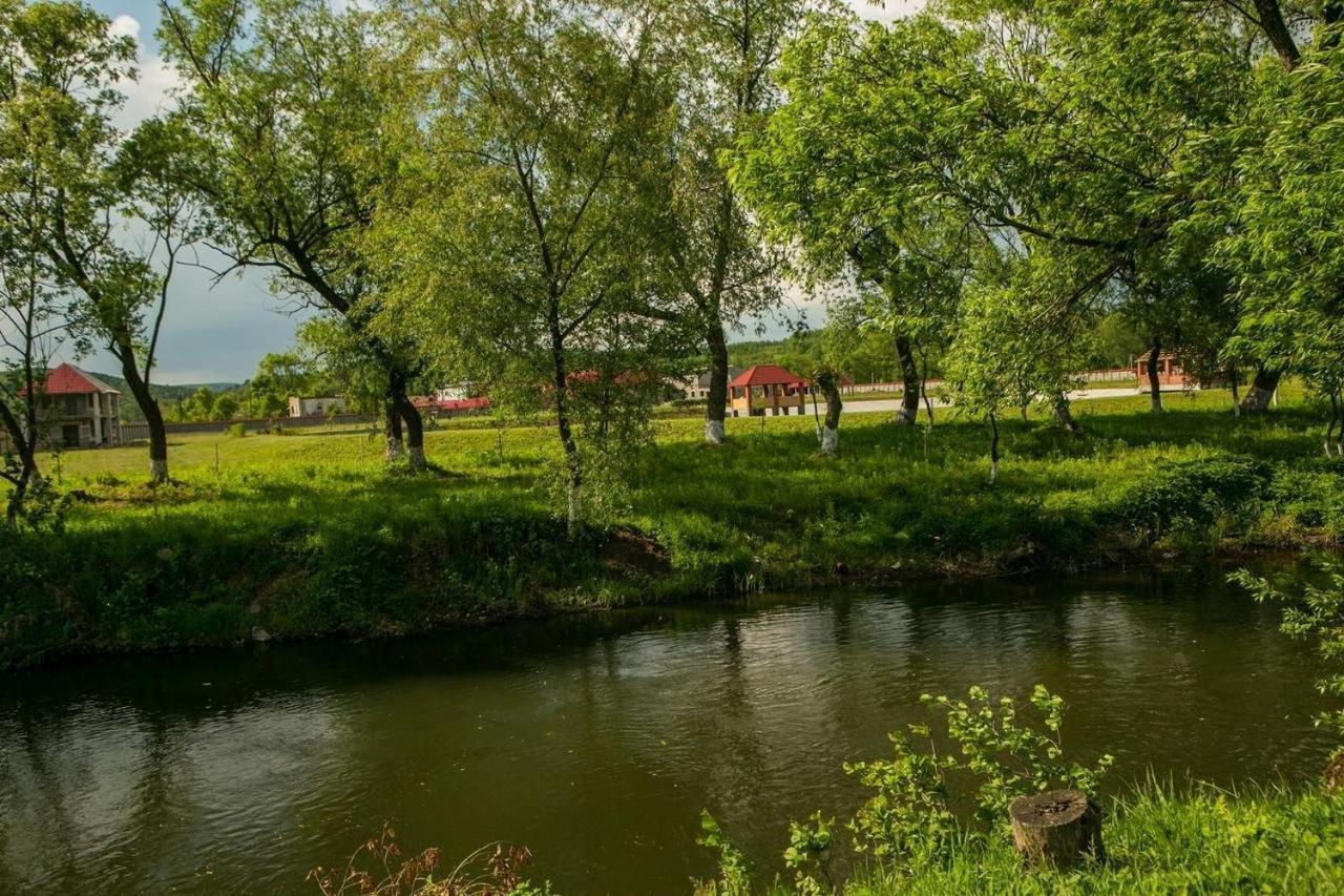 Illara Spa Hotel Irshava Buitenkant foto