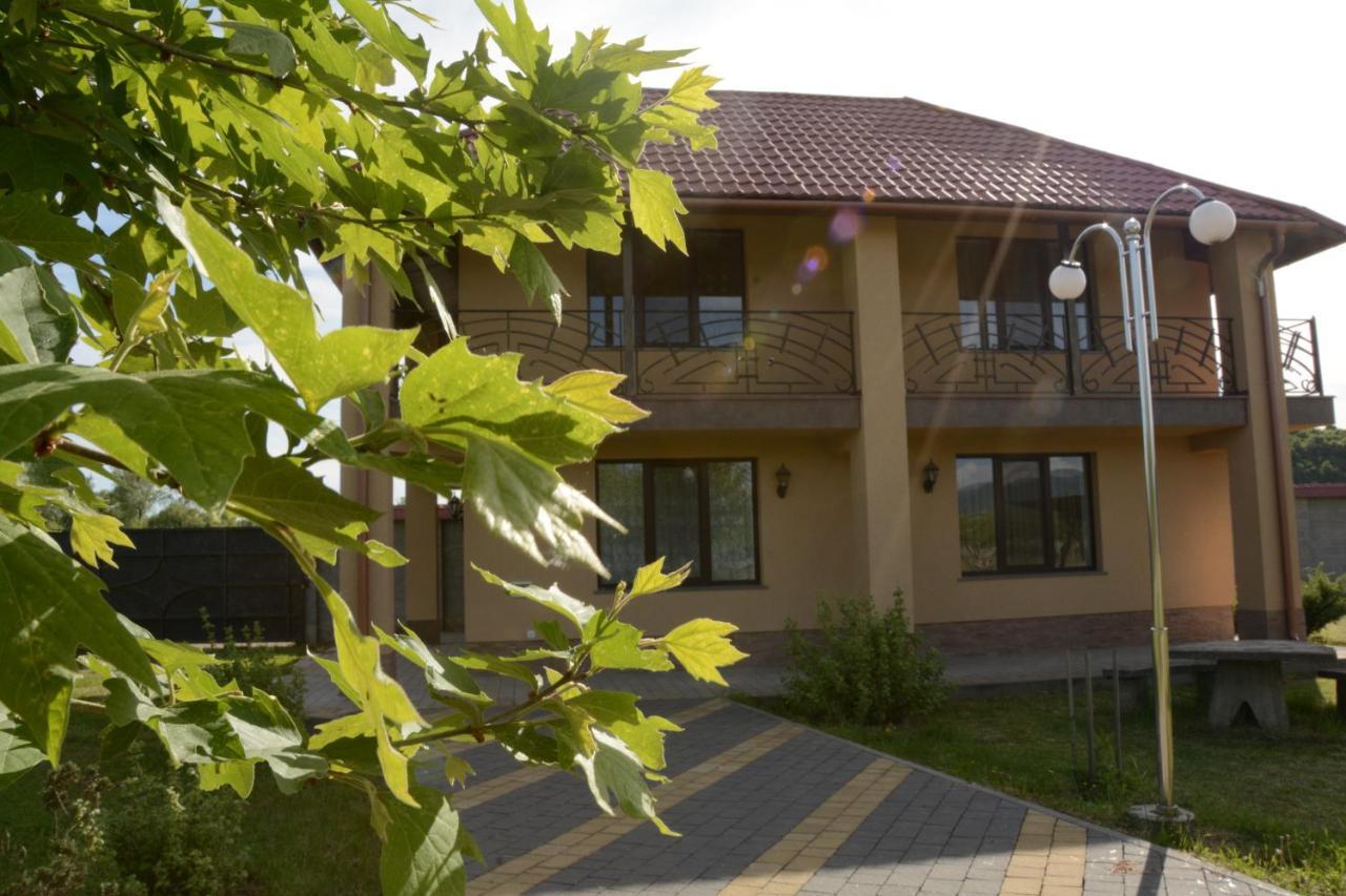 Illara Spa Hotel Irshava Buitenkant foto