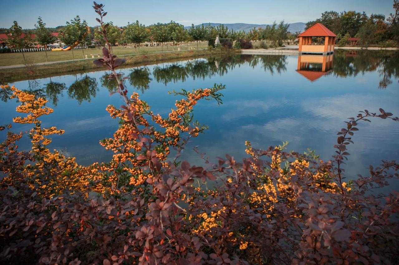 Illara Spa Hotel Irshava Buitenkant foto