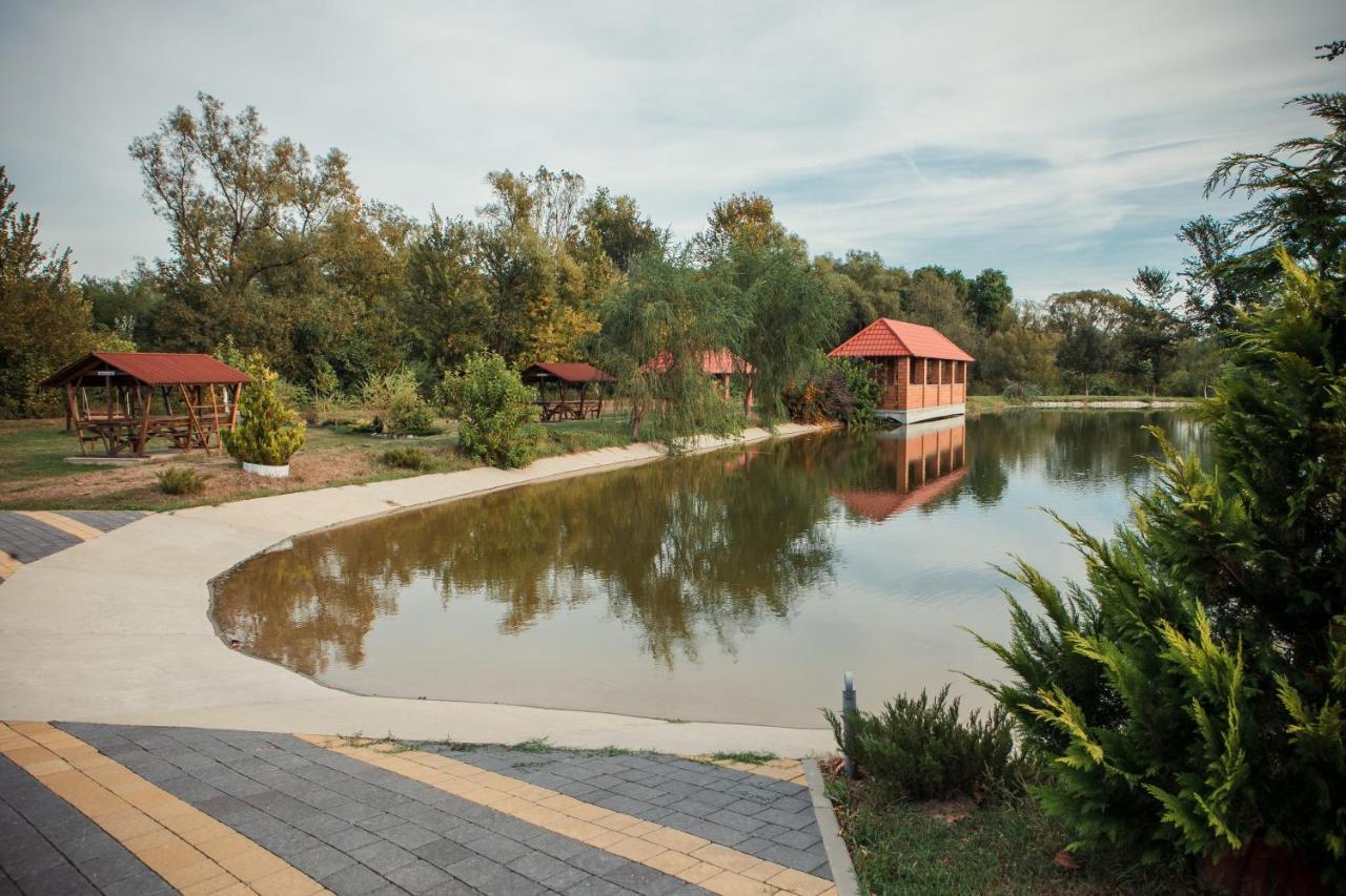 Illara Spa Hotel Irshava Buitenkant foto