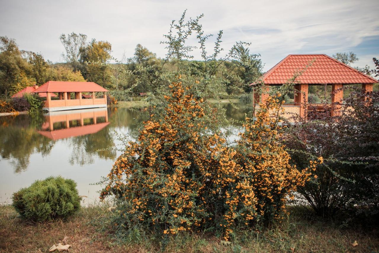 Illara Spa Hotel Irshava Buitenkant foto