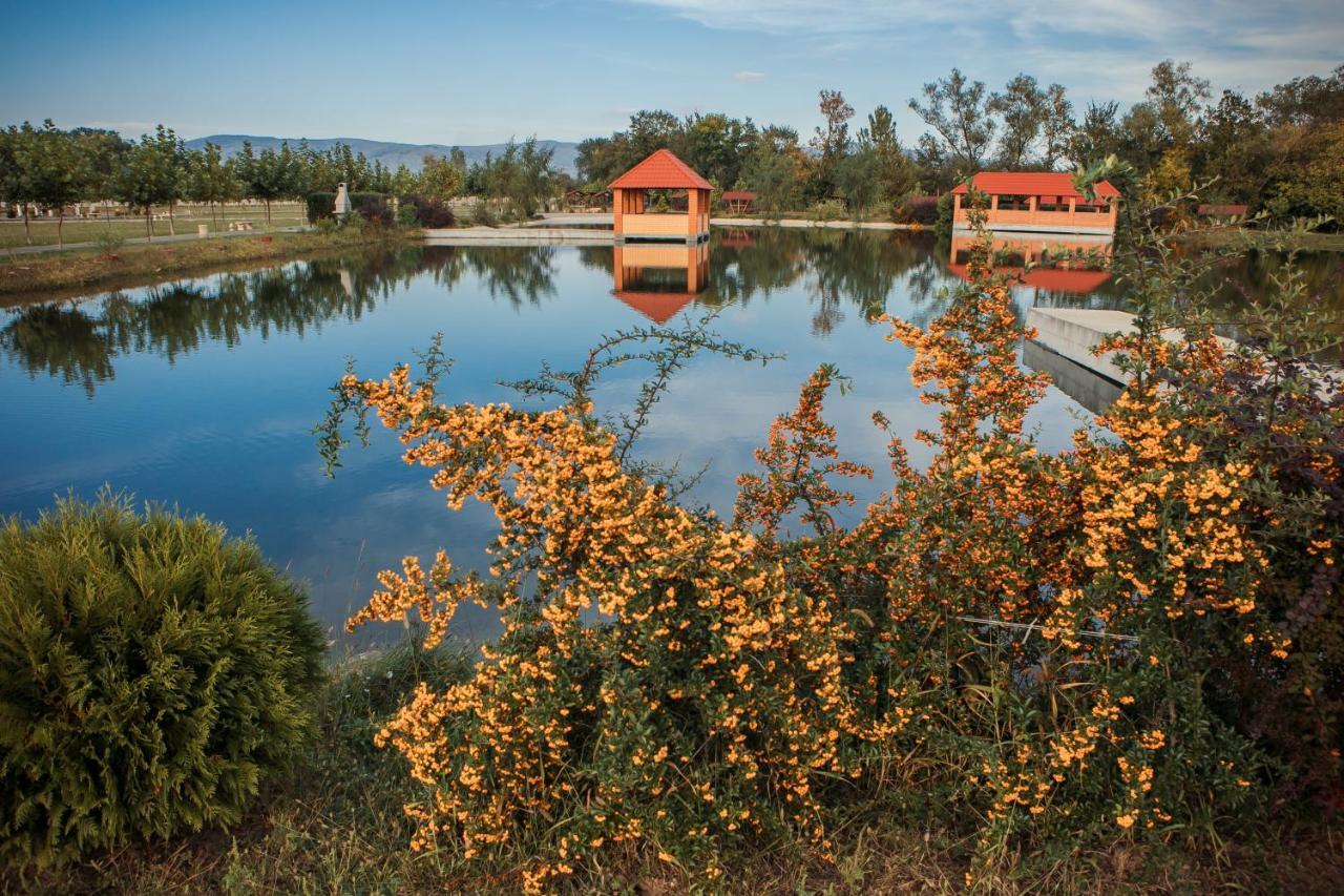 Illara Spa Hotel Irshava Buitenkant foto